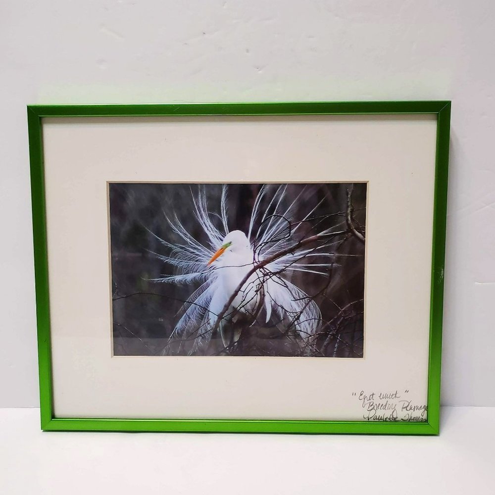 Framed Egret Photograph Print, signed Paulette Thomas, Matted, Bird Art